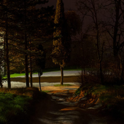 ALBERO by JIM VECCHI