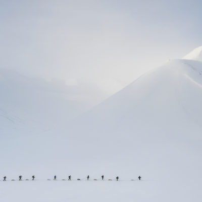 Arctic Procession by HEATH SANDALL