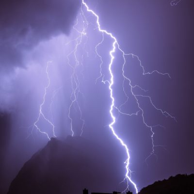 Nature's Showcase at Home by Andreas Schattauer