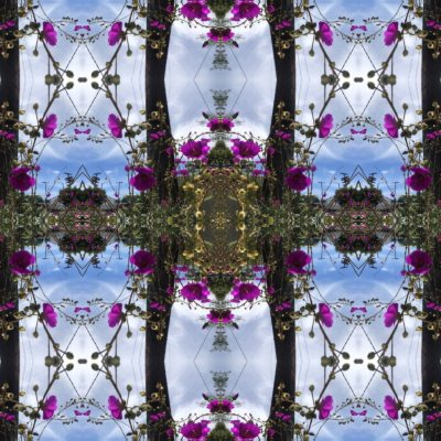 PATTERN SKY BURST - 2019 by Morleigh Steinberg