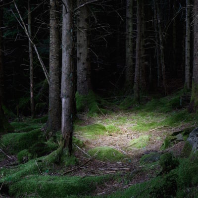 The Gloaming 1 by ELLIE DAVIES