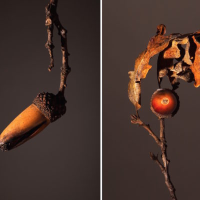 UNTITLED (BURN) by YELENA ZHAVORONKOVA