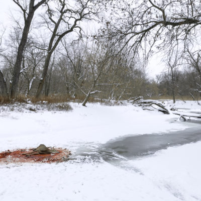 UNTITLED (Deer with Coyotes) by KEVIN HORAN