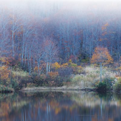 Vanish Color by Motoko Sato