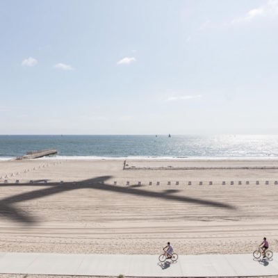 Western Snowy Plover Nest (Dockweiler Beach, Los Angeles, 2017) by MIKE KELLEY