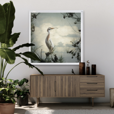 Cattle Egret by Deb Hodges