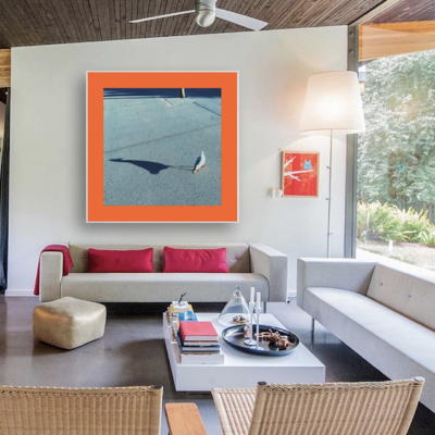 Orange Seagul by Antonio Privitera