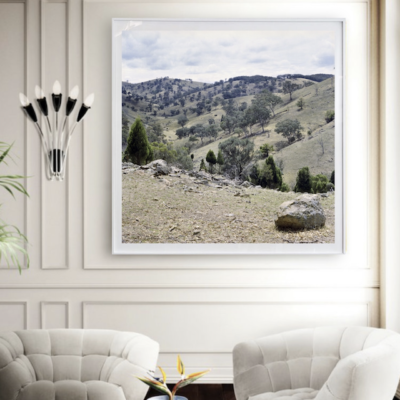 Road to Young - Between Lithgow and Bathurst by DALE HARPER