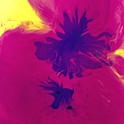 2INK-3612 - Maxine Helfman