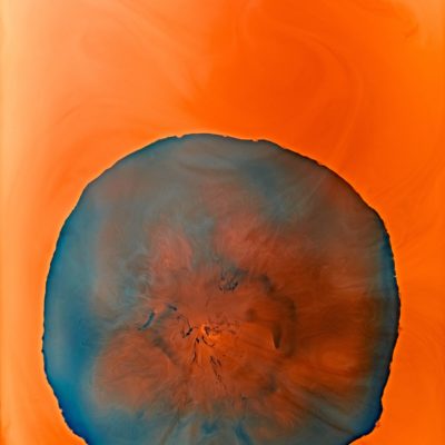 6INK-5419 - Maxine Helfman