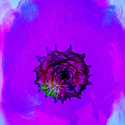 7INK-5733 - Maxine Helfman