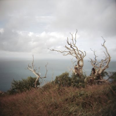 Swept - Adrienne Defendi