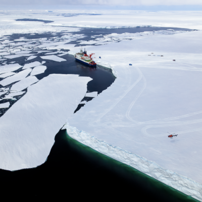 In the Atka Bay at the ice shelf