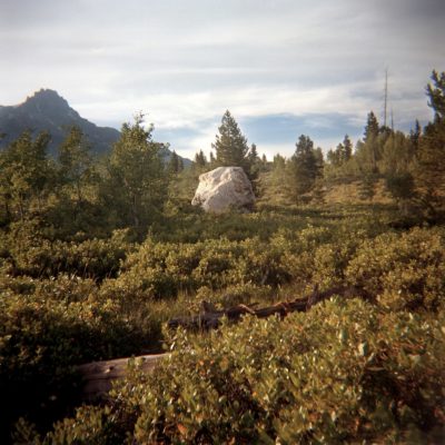 Rock - Adrienne Defendi