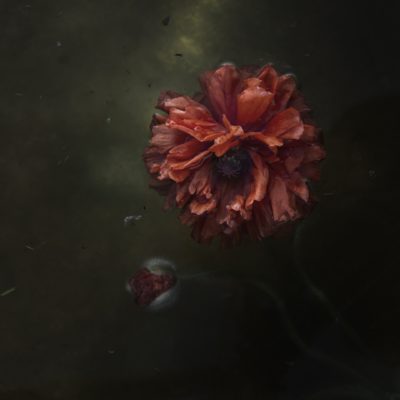 RED - Einar Sira