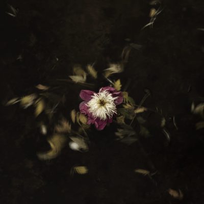 BURST - Einar Sira