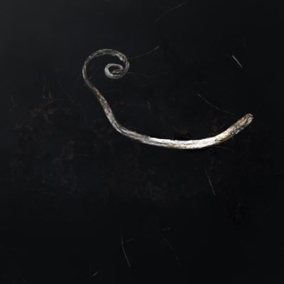 Curl
