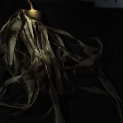 SEAWEED NO 2 - Einar Sira