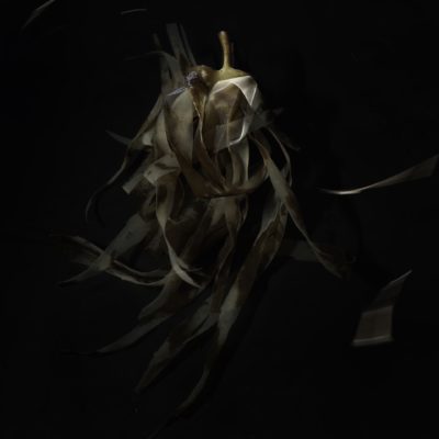 SEAWEED NO 1 - Einar Sira