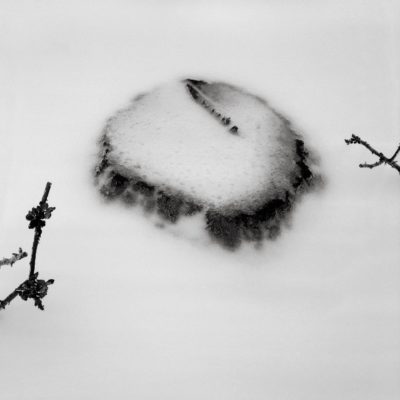 Stump - Austin Granger