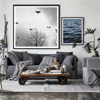 Crows - Austin Granger