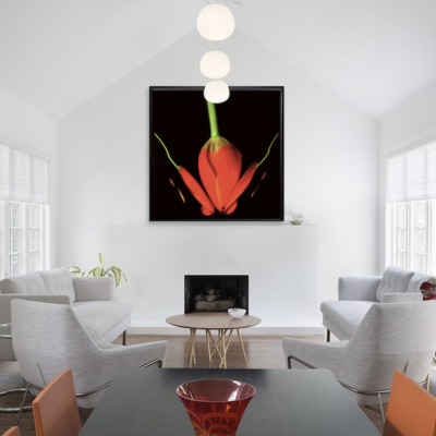 DICHOTOMY 11 by ELLEN CANTOR
