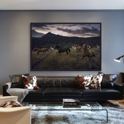 WILD HORSES by CHRIS CRISMAN