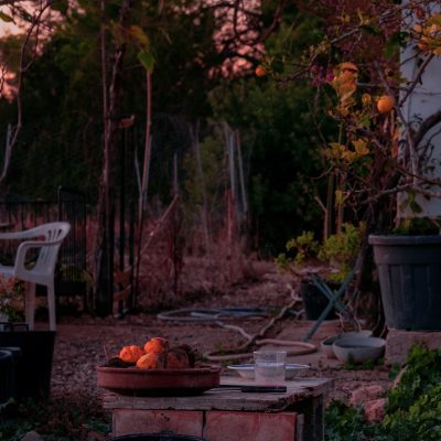 Gardens in Ibiza