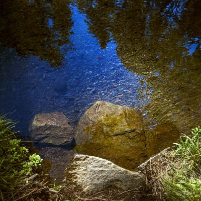 Riverine #1