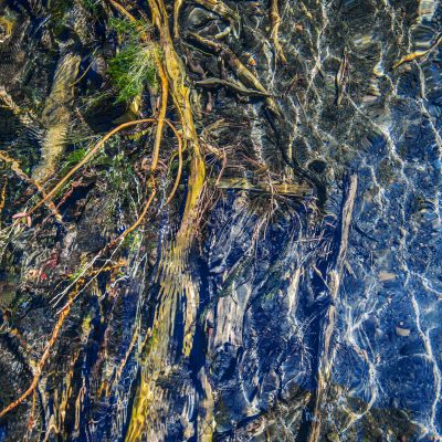 Riverine #2